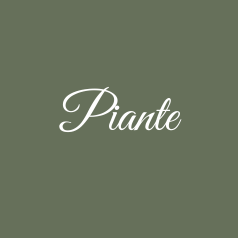 Piante